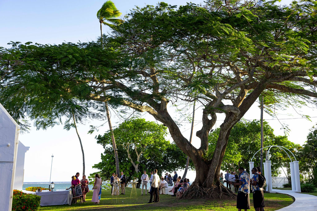 Lia & Matthew: Shangri-La Fijian - Gallery Image