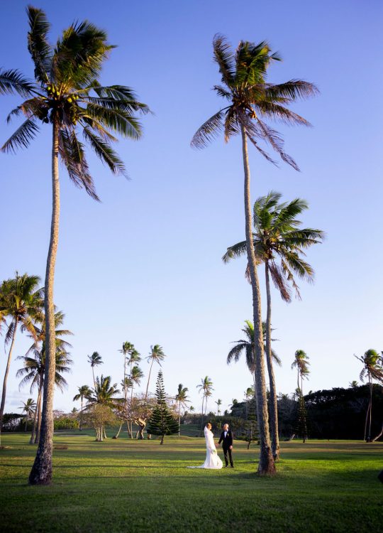 Lia & Matthew: Shangri-La Fijian - Gallery Image